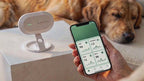 AmoPaw Sense — Contactless Heart & Breathing Monitor for Cats and Dogs